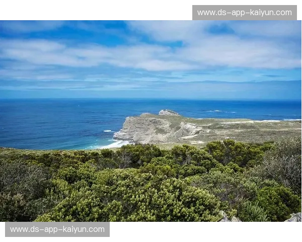 冰与火的终极博弈：当斗牛士的优雅撞上彩虹之国的狂野